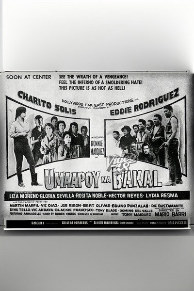 Póster de Umaapoy na bakal