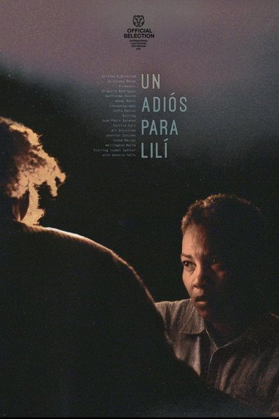 Póster de Un Adiós para Lilí