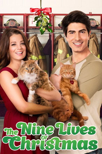 Póster de Un amor con siete vidas