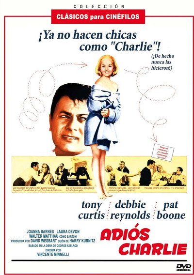Póster de Un amor de otro mundo
