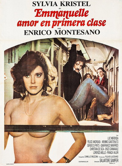 Póster de Un amor en primera clase