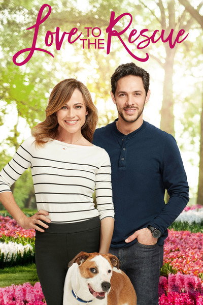 Póster de Un amor inesperado