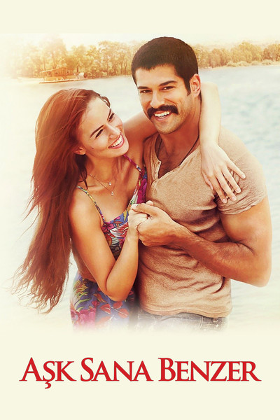 Póster de Un amor junto al mar