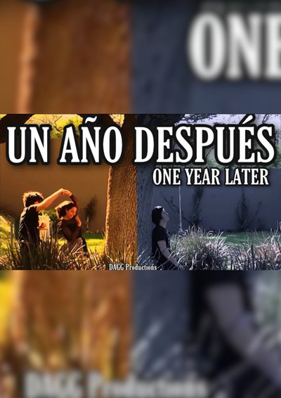 Póster de Un Año Despues