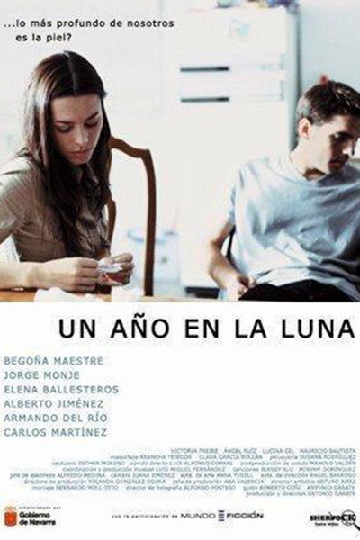Póster de Un año en la luna