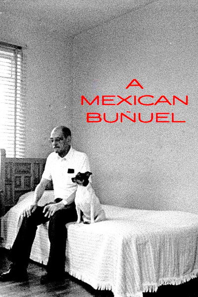 Póster de Un Buñuel mexican