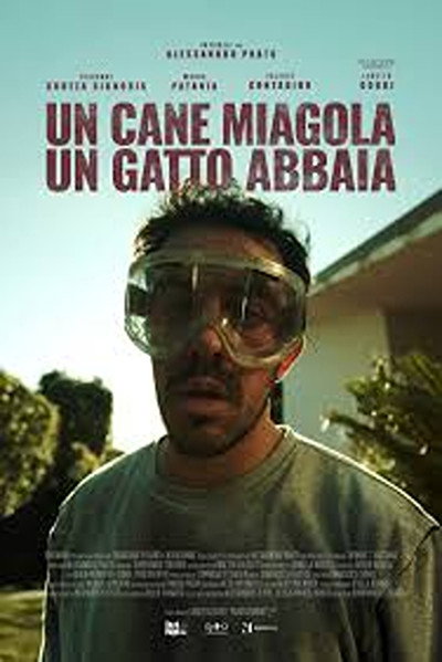 Póster de Un cane miagola, un gatto abbaia