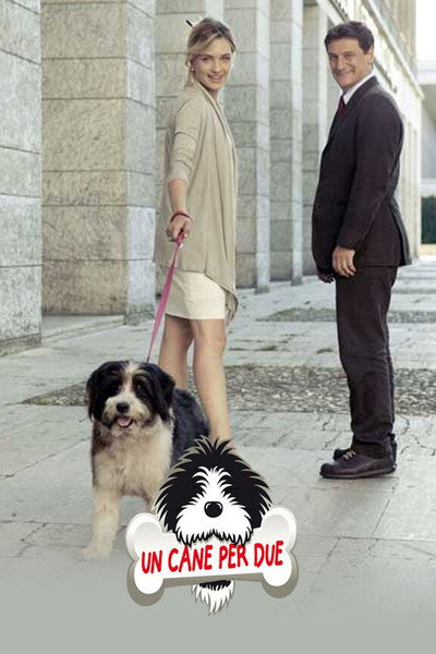 Póster de Un cane per due