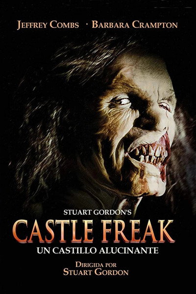 Póster de Un castillo alucinante