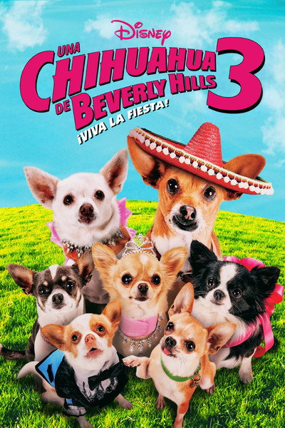 Póster de Un chihuahua en Beverly Hills 3
