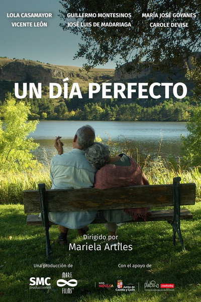 Póster de Un día perfecto