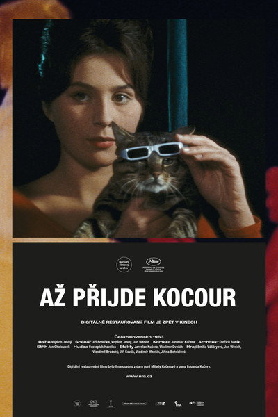 Póster de Un día, un gato