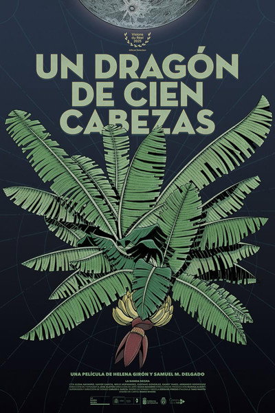 Póster de Un dragón de cien cabezas