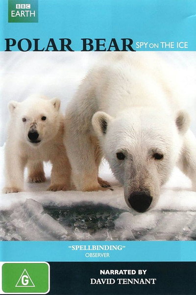 Póster de Un espía entre osos polares