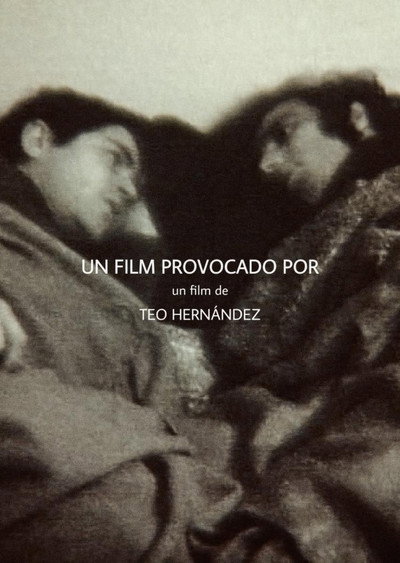 Póster de Un film provocado por