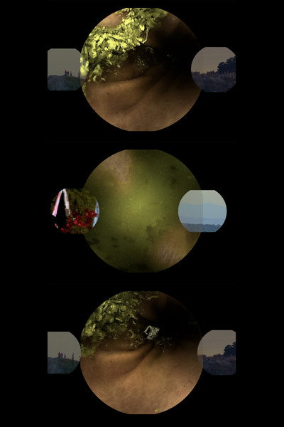 Póster de Un gif larguísimo