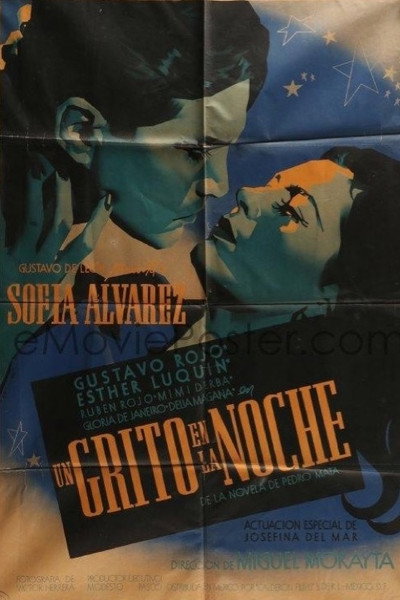 Póster de Un grito en la noche