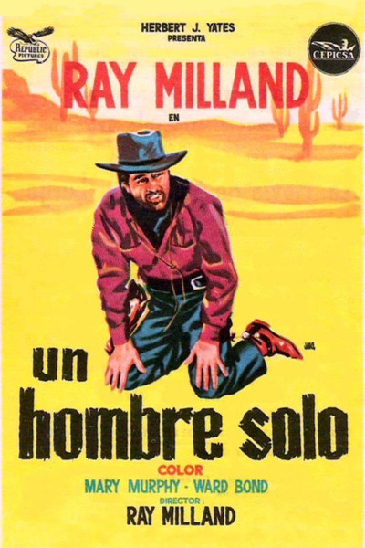 Póster de Un hombre solo