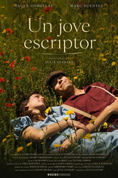 Póster de Un jove escriptor