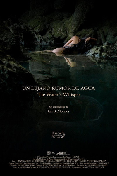 Póster de Un lejano rumor de agua