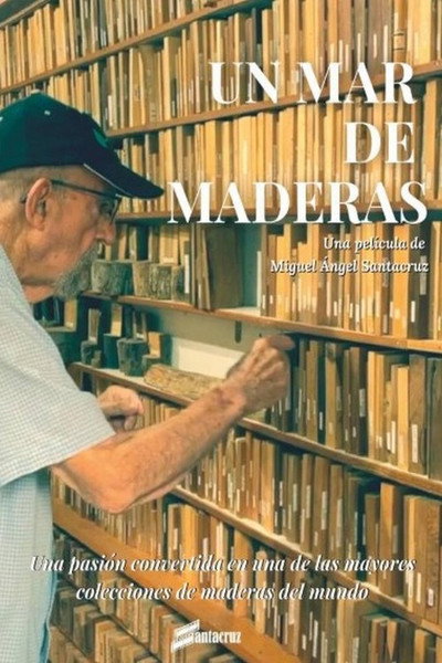Póster de Un mar de maderas