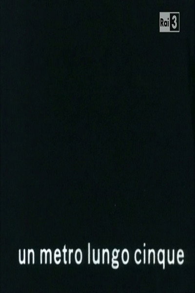 Póster de Un metro lungo cinque