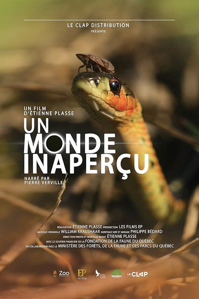 Póster de Un monde inaperçu