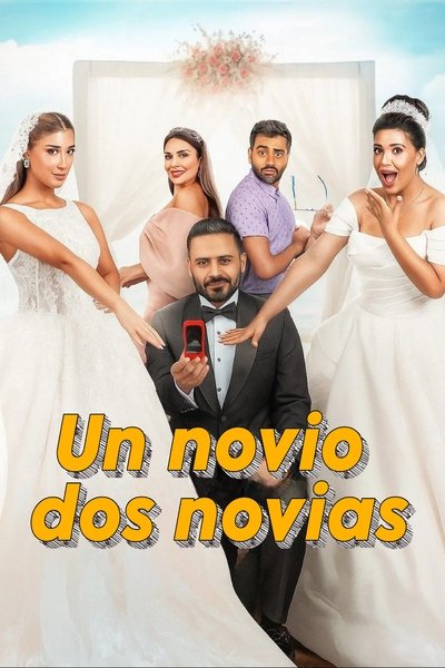 Póster de Un novio, dos novias