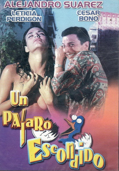Póster de Un pájaro escondido