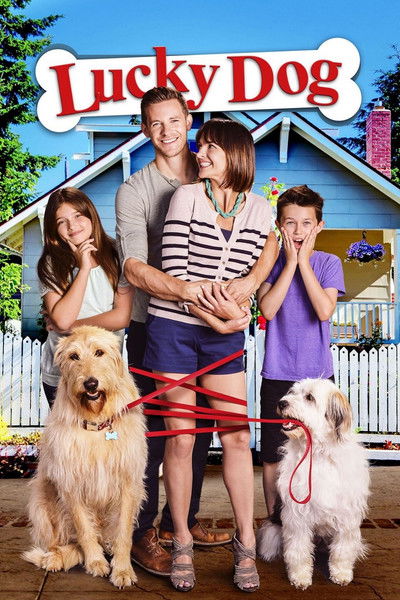 Póster de Un perro con suerte