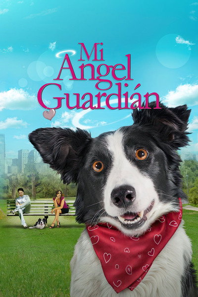 Póster de Un perro divino