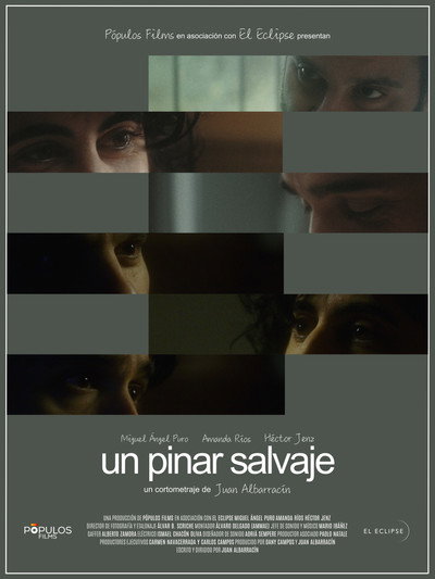 Póster de Un pinar salvaje
