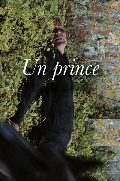 Póster de Un prince