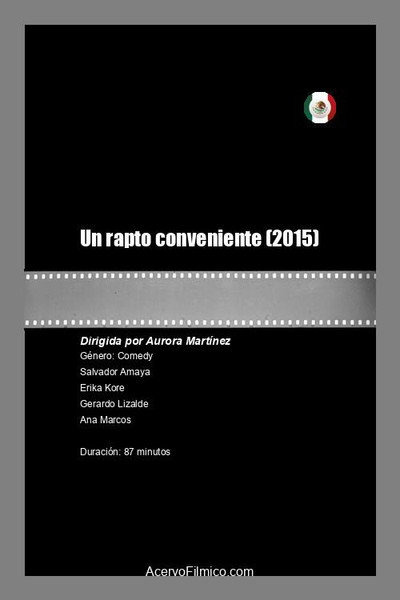 Póster de Un rapto conveniente