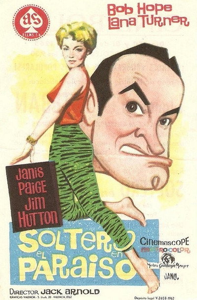 Póster de Un soltero en el paraíso