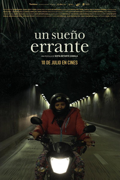 Póster de Un sueño errante