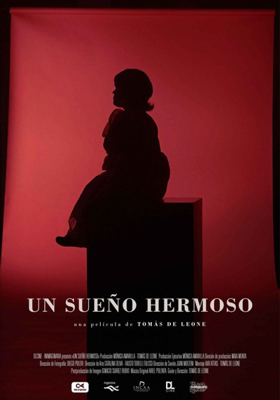 Póster de Un sueño hermoso