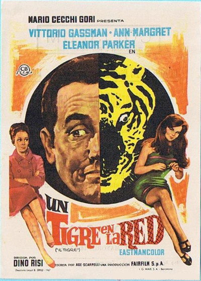 Póster de Un tigre en la red