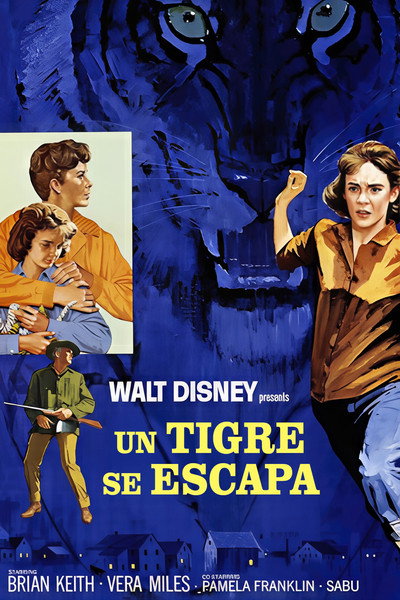 Póster de Un tigre se escapa