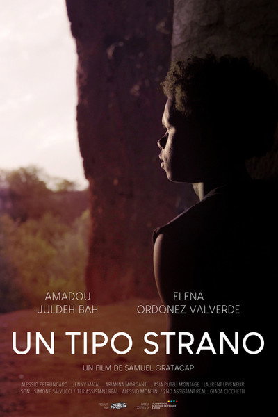 Póster de Un tipo strano