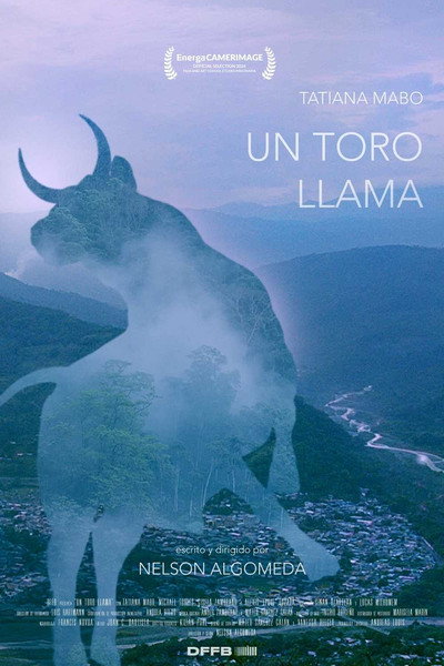 Póster de Un Toro Llama