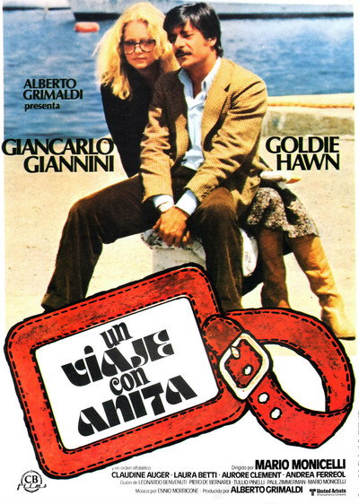 Póster de Un viaje con Anita