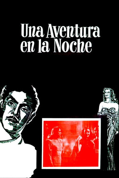 Póster de Una aventura en la noche