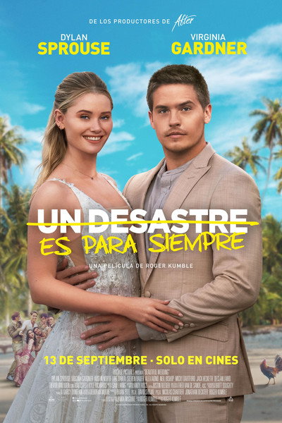Póster de Una boda y otros desastres