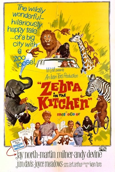 Póster de Una cebra en la cocina