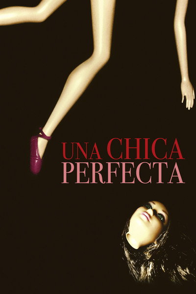 Póster de Una chica perfecta