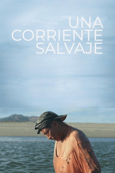 Póster de Una corriente salvaje