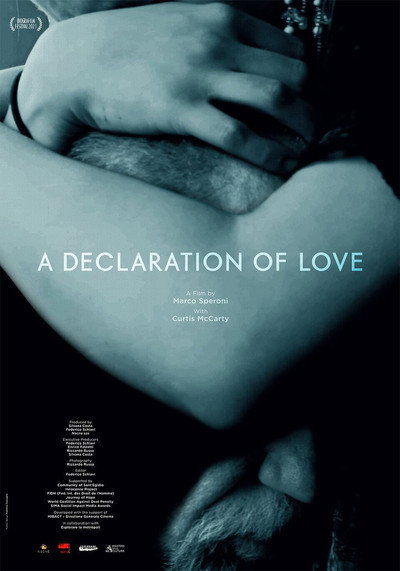 Póster de Una declaración de amor