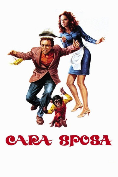 Póster de Una esposa liberada