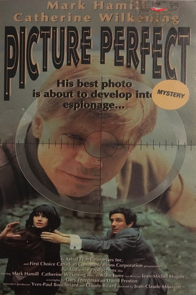 Póster de Una foto perfecta